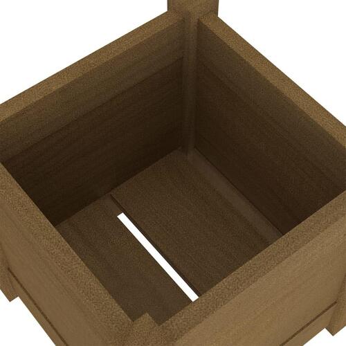 Plantekasser 2 stk. 31x31x31 cm massivt fyrretræ gyldenbrun