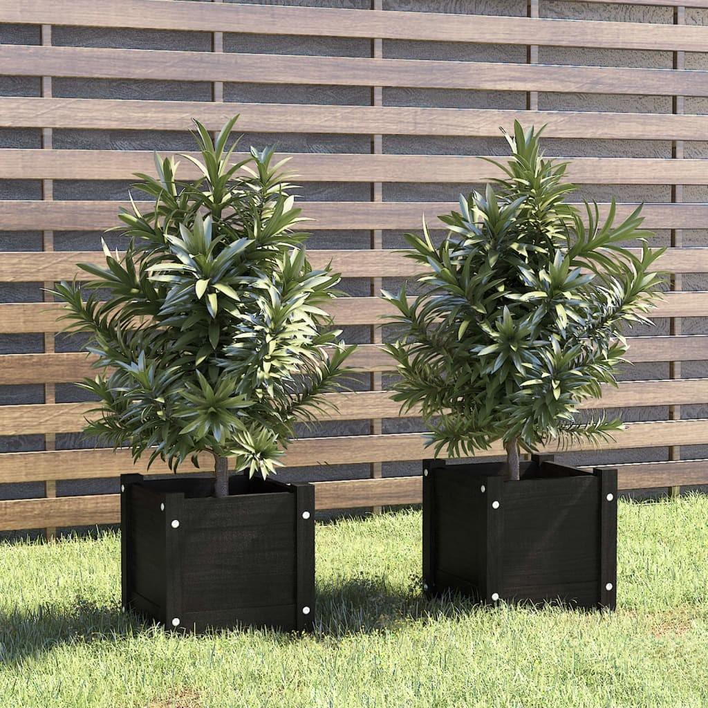 Plantekasser 2 stk. 31x31x31 cm massivt fyrretræ sort