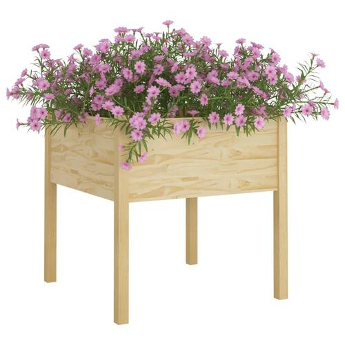 Plantekasser 2 stk. 70x70x70 cm massivt fyrretræ
