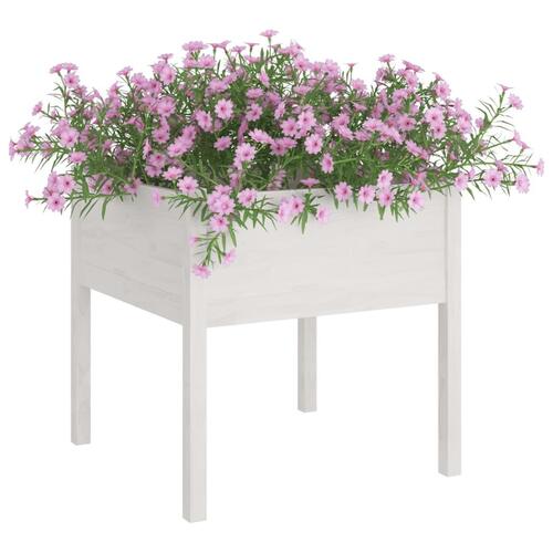 Plantekasse 70x70x70 cm massivt fyrretræ hvid