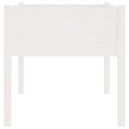 Plantekasse 70x70x70 cm massivt fyrretræ hvid