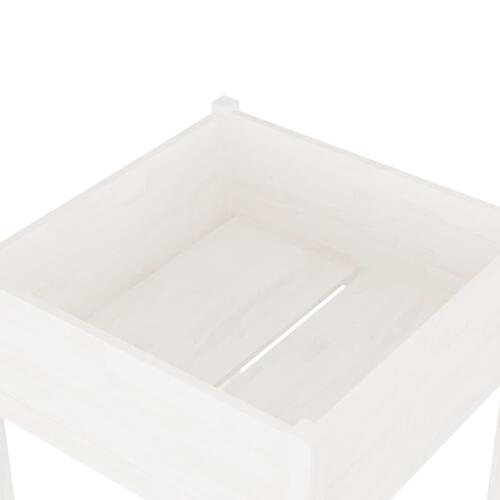 Plantekasse 70x70x70 cm massivt fyrretræ hvid
