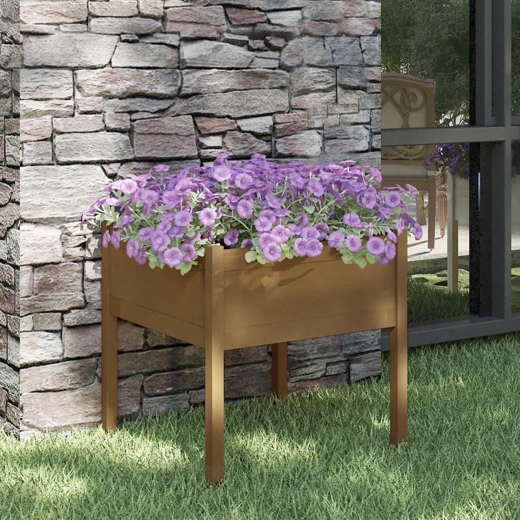 Plantekasse 70x70x70 cm massivt fyrretræ gyldenbrun