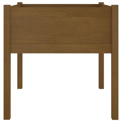 Plantekasse 70x70x70 cm massivt fyrretræ gyldenbrun