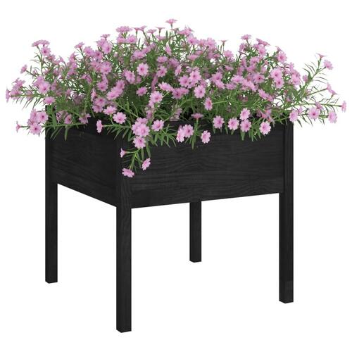 Plantekasse 70x70x70 cm massivt fyrretræ sort