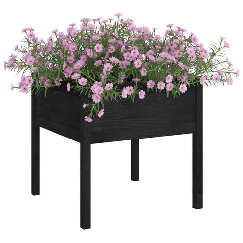 Plantekasser 2 stk. 70x70x70 cm massivt fyrretræ sort