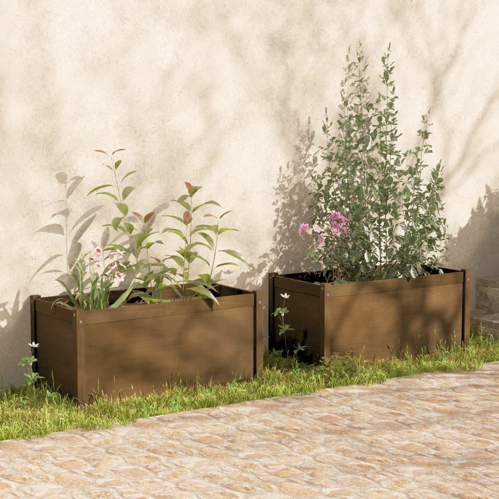 Plantekasser 2 stk. 100x50x50 cm massivt fyrretræ gyldenbrun