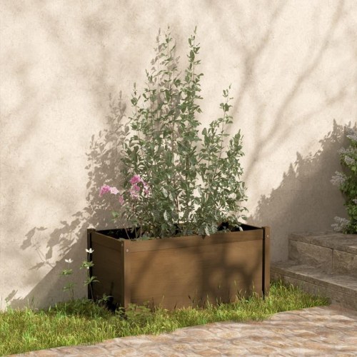 Plantekasser 2 stk. 100x50x50 cm massivt fyrretræ gyldenbrun