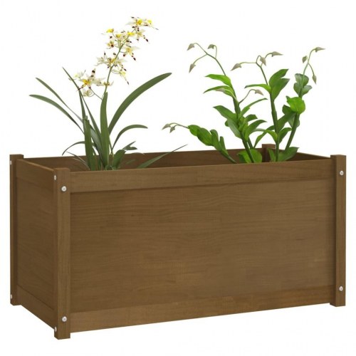 Plantekasser 2 stk. 100x50x50 cm massivt fyrretræ gyldenbrun
