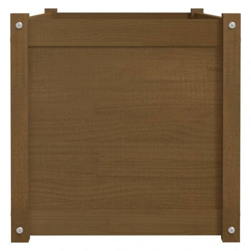 Plantekasser 2 stk. 100x50x50 cm massivt fyrretræ gyldenbrun