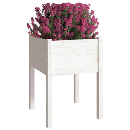 Plantekasser 2 stk. 50x50x70 cm massivt fyrretræ hvid