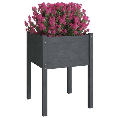 Plantekasser 2 stk. 50x50x70 cm massivt fyrretræ grå