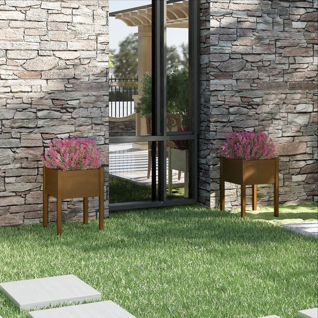 Plantekasser 2 stk. 50x50x70 cm massivt fyrretræ gyldenbrun