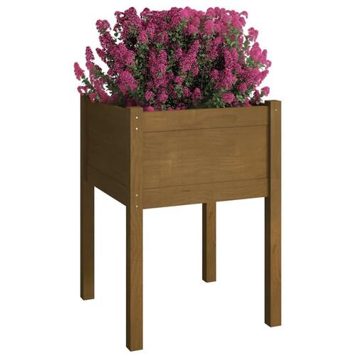 Plantekasser 2 stk. 50x50x70 cm massivt fyrretræ gyldenbrun