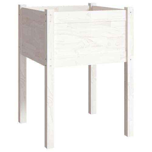 Plantekasse 50x50x70 cm massivt fyrretræ hvid