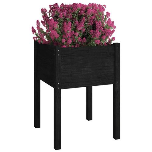 Plantekasse 50x50x70 cm massivt fyrretræ sort