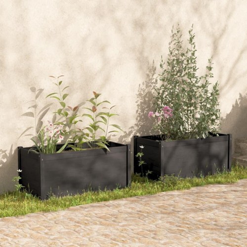 Plantekasser 2 stk. 100x50x50 cm massivt fyrretræ grå