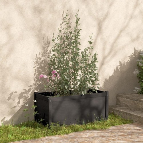 Plantekasser 2 stk. 100x50x50 cm massivt fyrretræ grå