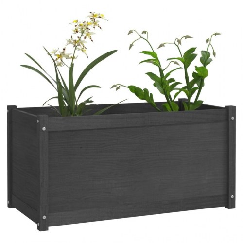 Plantekasser 2 stk. 100x50x50 cm massivt fyrretræ grå