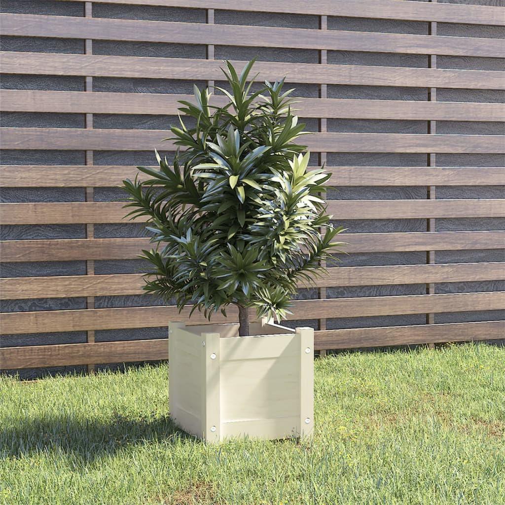 Plantekasse 31x31x31 cm massivt fyrretræ hvid