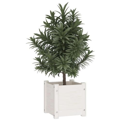 Plantekasse 31x31x31 cm massivt fyrretræ hvid