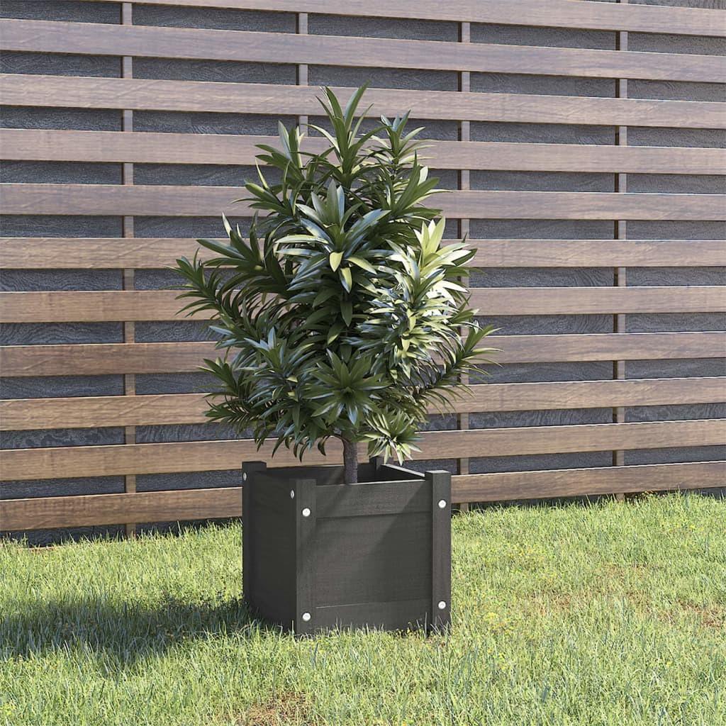 Plantekasse 31x31x31 cm massivt fyrretræ grå