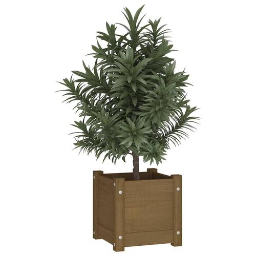 Plantekasse 31x31x31 cm massivt fyrretræ gyldenbrun