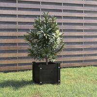 Plantekasse 31x31x31 cm massivt fyrretræ sort