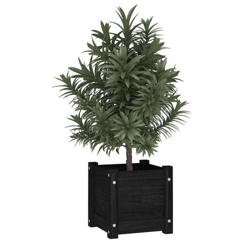 Plantekasse 31x31x31 cm massivt fyrretræ sort
