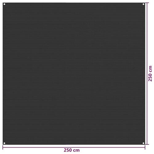 Telttæppe 250x250 cm HDPE antracitgrå
