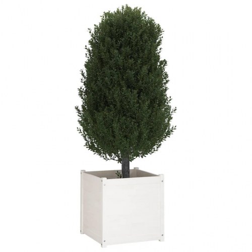 Plantekasser 2 stk. 60x60x60 cm massivt fyrretræ hvid