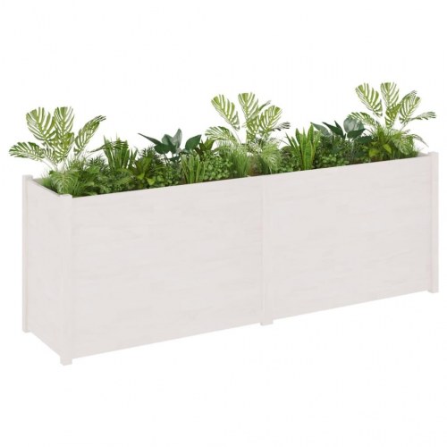 Plantekasse 200x50x70 cm massivt fyrretræ hvid