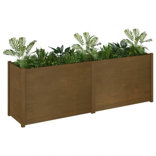 Plantekasse 200x50x70 cm massivt fyrretræ gyldenbrun