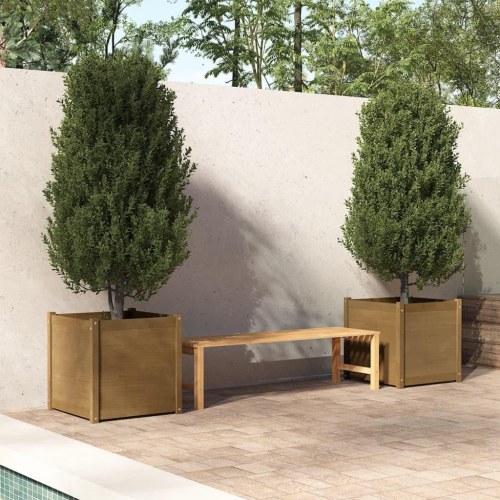 Plantekasser 2 stk. 60x60x60 cm massivt fyrretræ gyldenbrun