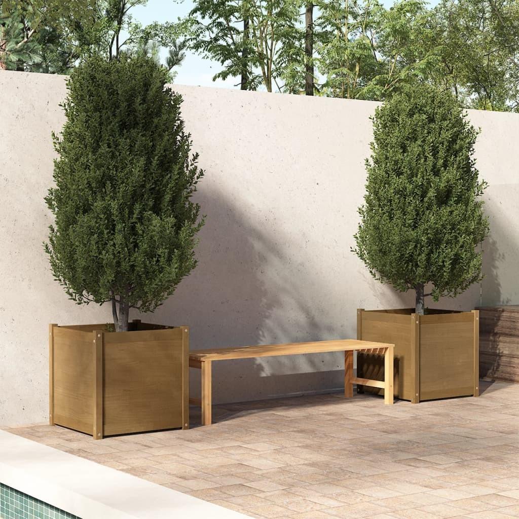 Plantekasser 2 stk. 60x60x60 cm massivt fyrretræ gyldenbrun