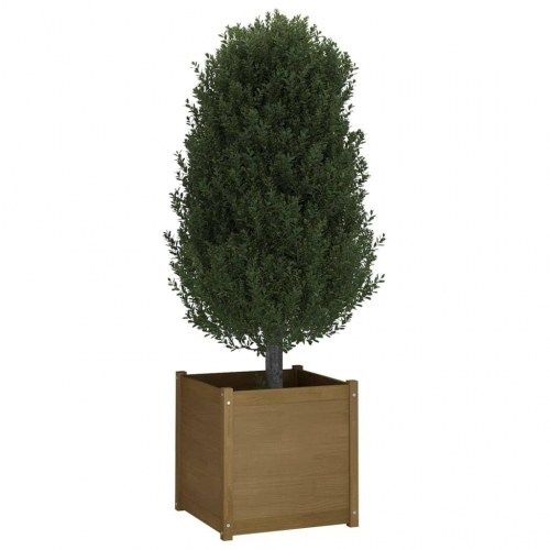 Plantekasser 2 stk. 60x60x60 cm massivt fyrretræ gyldenbrun