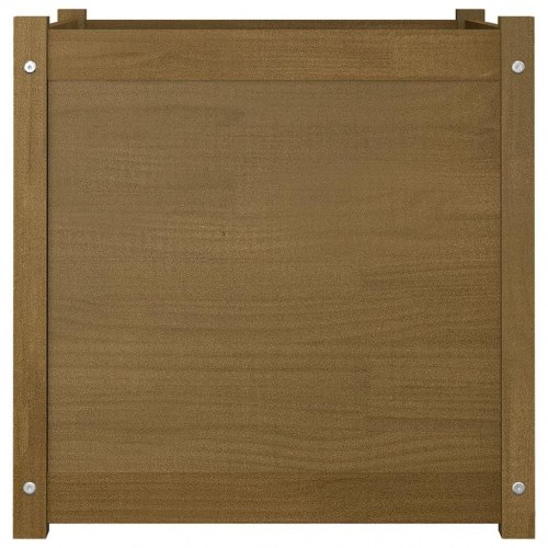 Plantekasser 2 stk. 60x60x60 cm massivt fyrretræ gyldenbrun