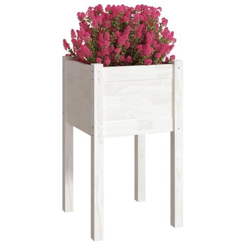Plantekasser 2 stk. 40x40x70 cm massivt fyrretræ hvid