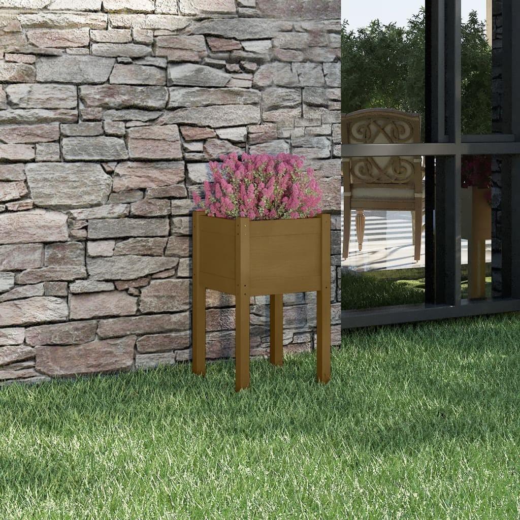 Plantekasse 40x40x70 cm massivt fyrretræ gyldenbrun