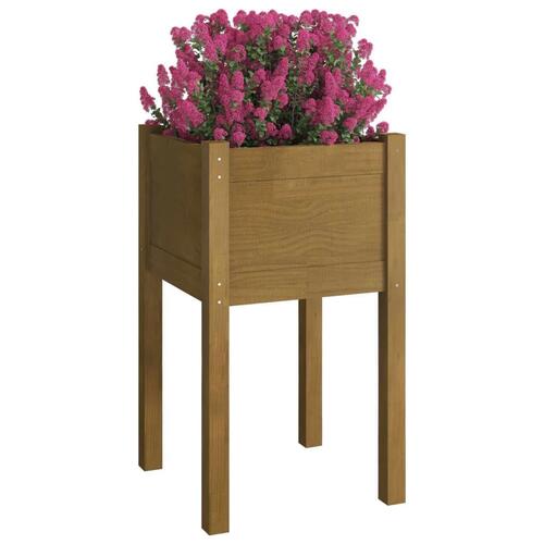 Plantekasse 40x40x70 cm massivt fyrretræ gyldenbrun
