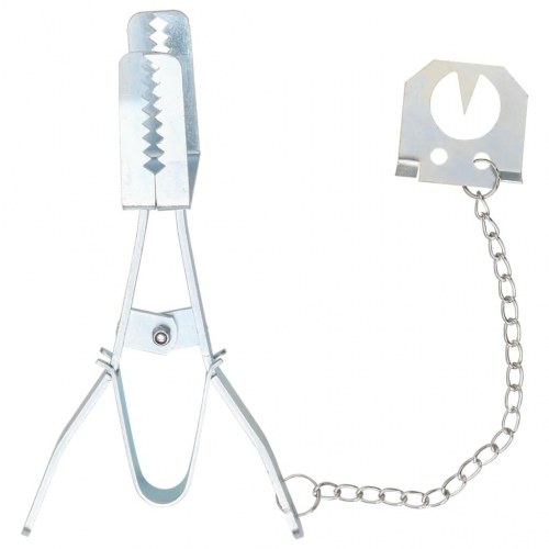 Muldvarpefælder 5 stk. galvaniseret stål sølvfarvet