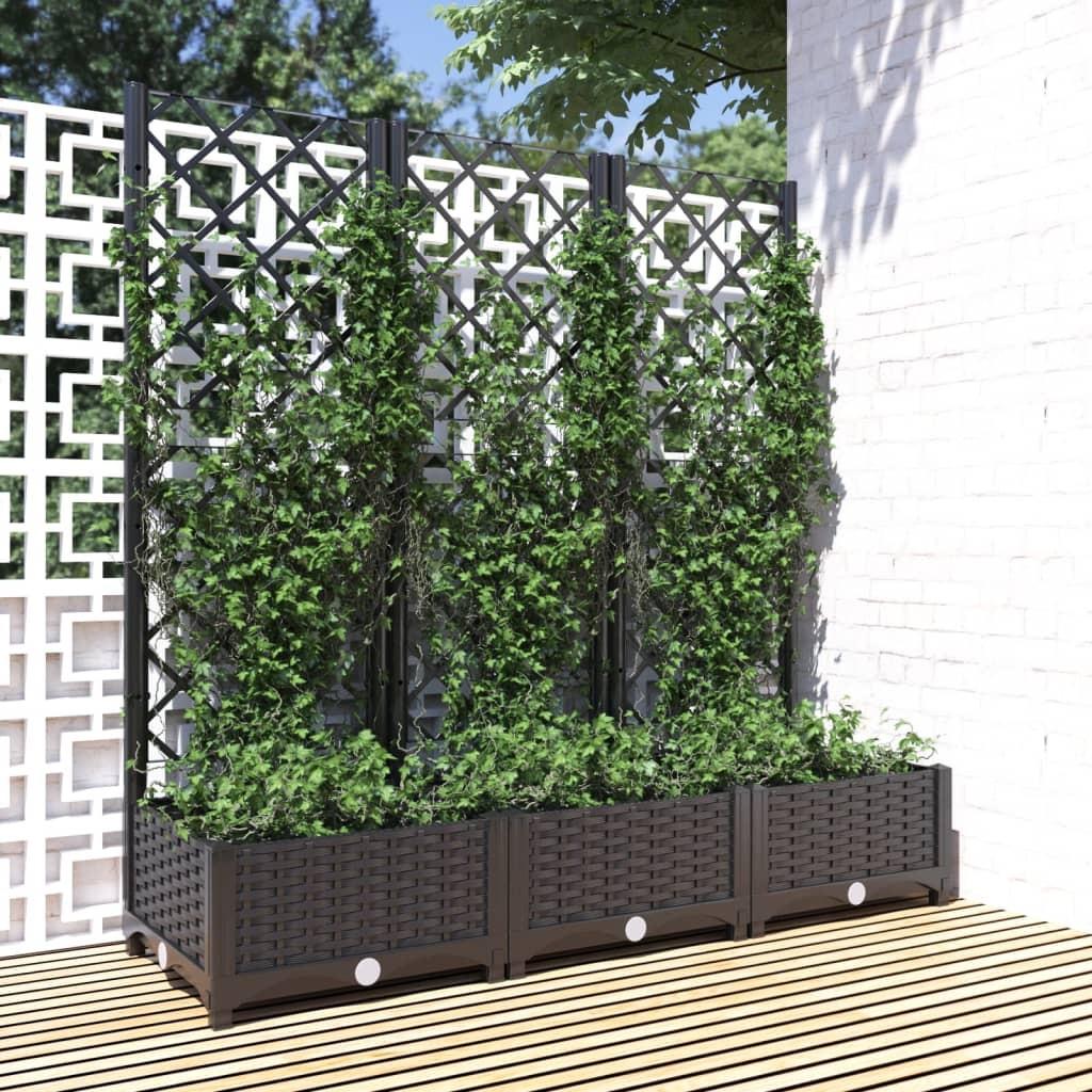 Plantekasse med espalier 120x40x121,5 cm PP sort