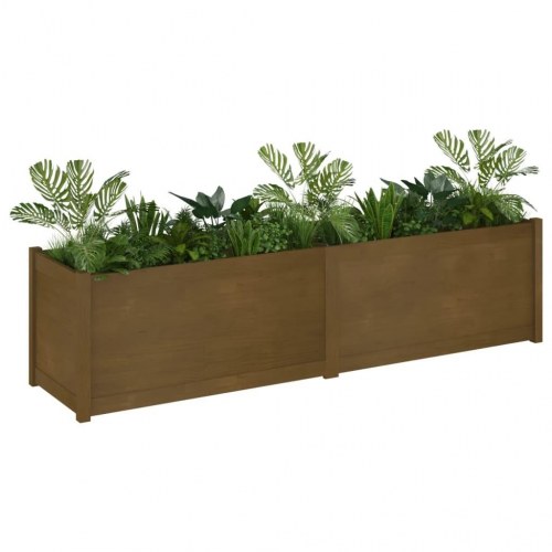 Plantekasse 200x50x50 cm massivt fyrretræ gyldenbrun