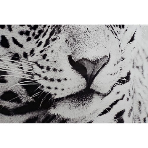 Maleri i aluminium/krystal - Leopard, 100 × 100 cm (2 stk)