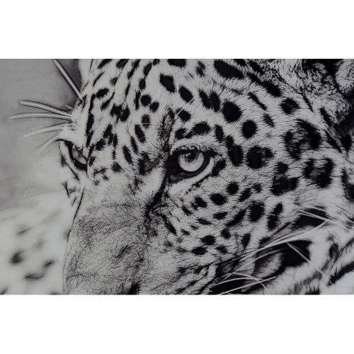 Maleri i aluminium/krystal - Leopard, 100 × 100 cm (2 stk)