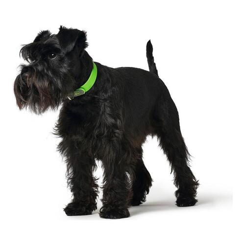 Hundehalsbånd Hunter Convenience Størrelse S Grøn (28-36 cm)