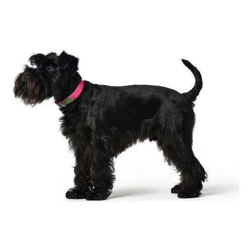 Hunter hundehalsbånd Convenience - Pink, str. M (38-46 cm)