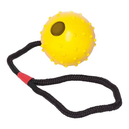 Hund Bidering Gloria Med streng Gummi (7 cm) (7 x 30 cm)