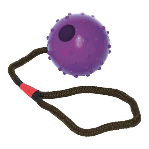 Hund Bidering Gloria Med streng Gummi (7 cm) (7 x 30 cm)