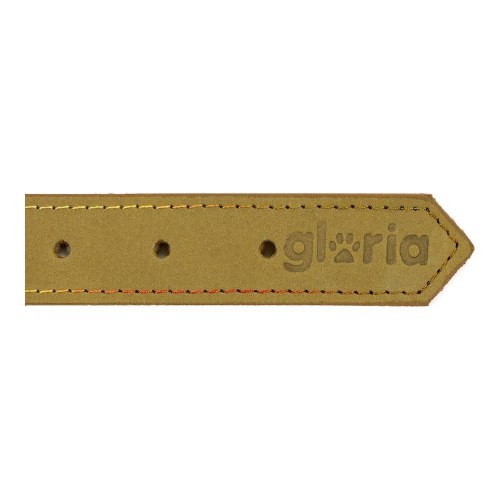 Gloria Hundehalsbånd Oasis - Grøn, 40 x 1,5 cm